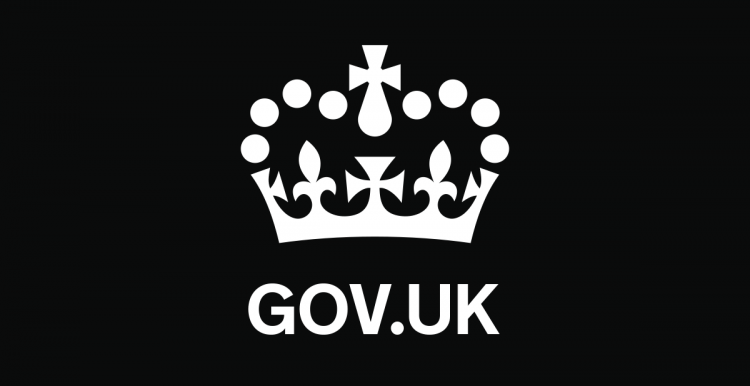 Government Government