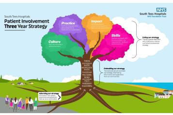 Patient Involvement Strategy tree